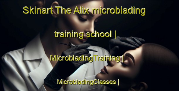 Skinart The Alix microblading training school | MicrobladingTraining | MicrobladingClasses | SkinartTraining-United States